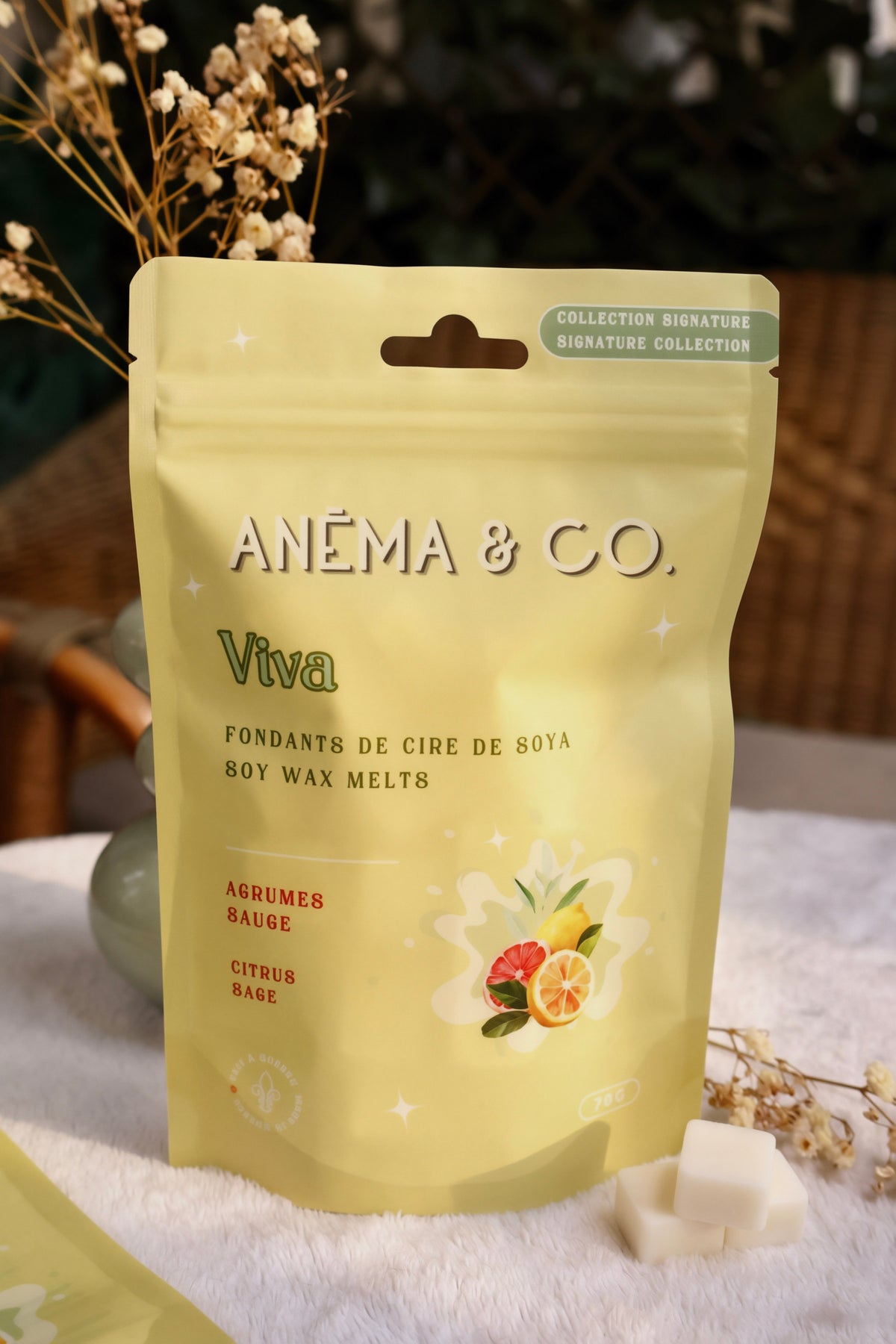 Cubes de cire - Viva