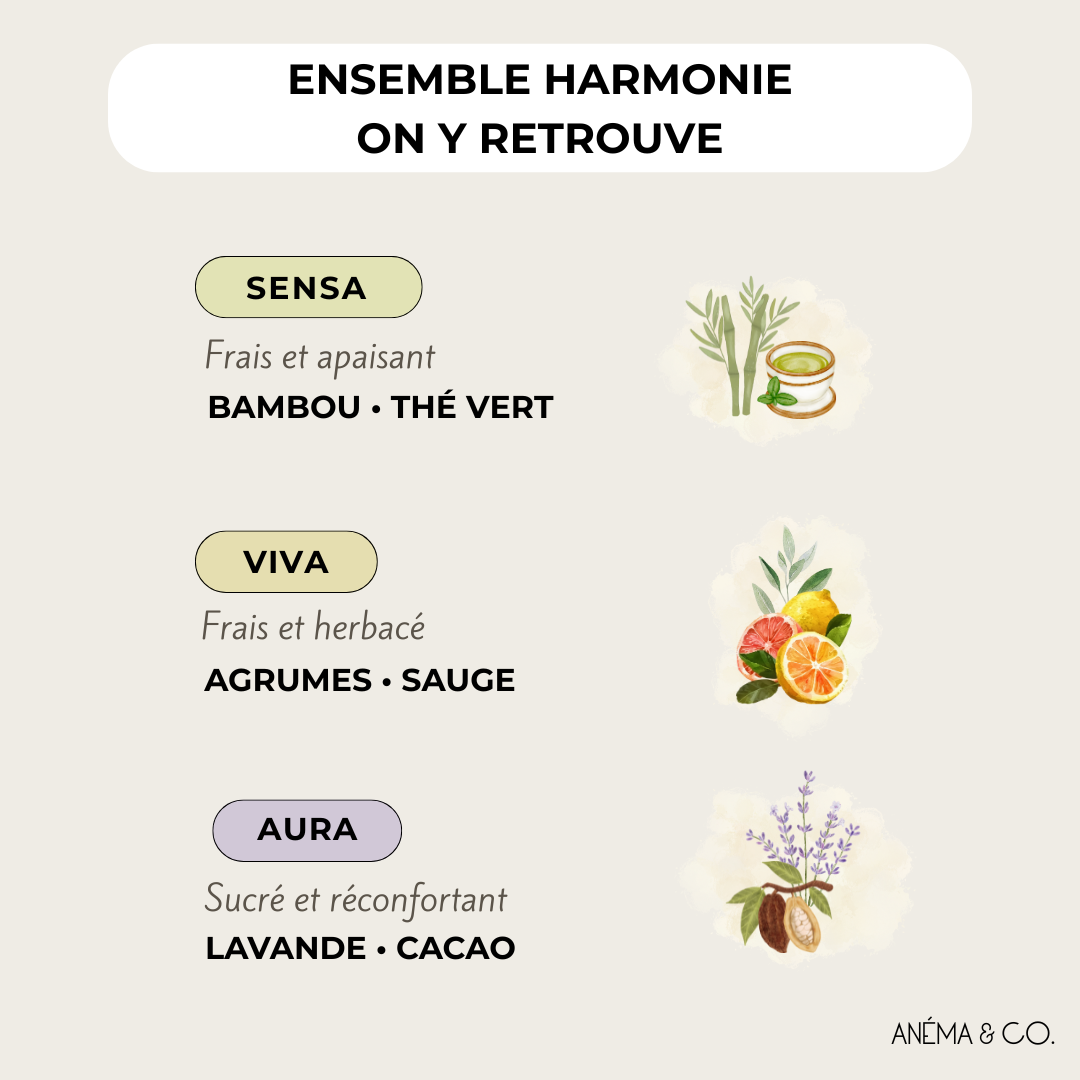 Ensembles - Cubes de cire