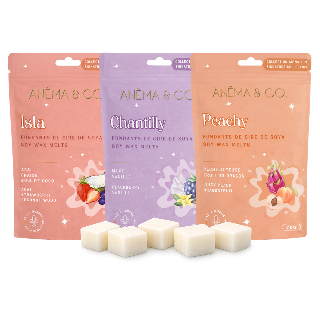 Ensembles - Cubes de cire