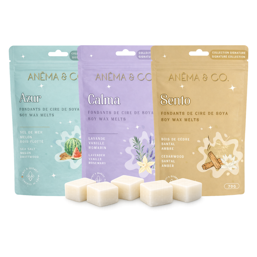 Ensembles - Cubes de cire