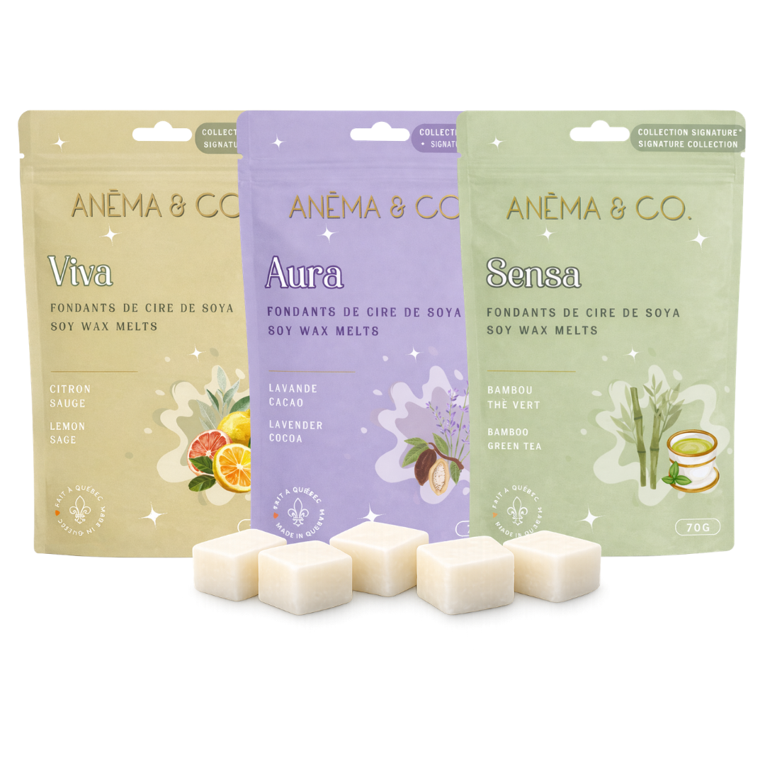 Ensembles - Cubes de cire