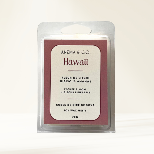 Cubes de cire | Hawaii