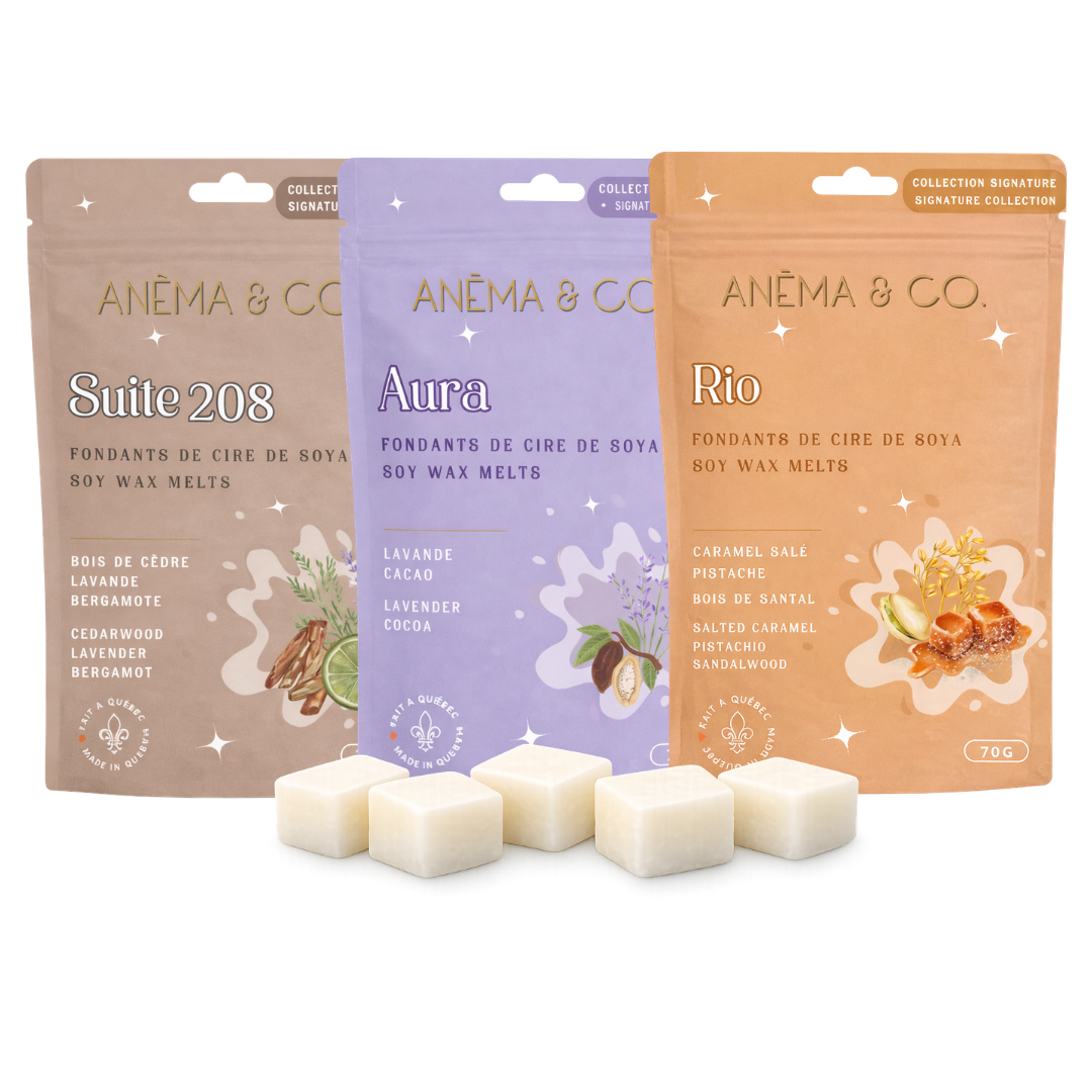 Ensembles - Cubes de cire