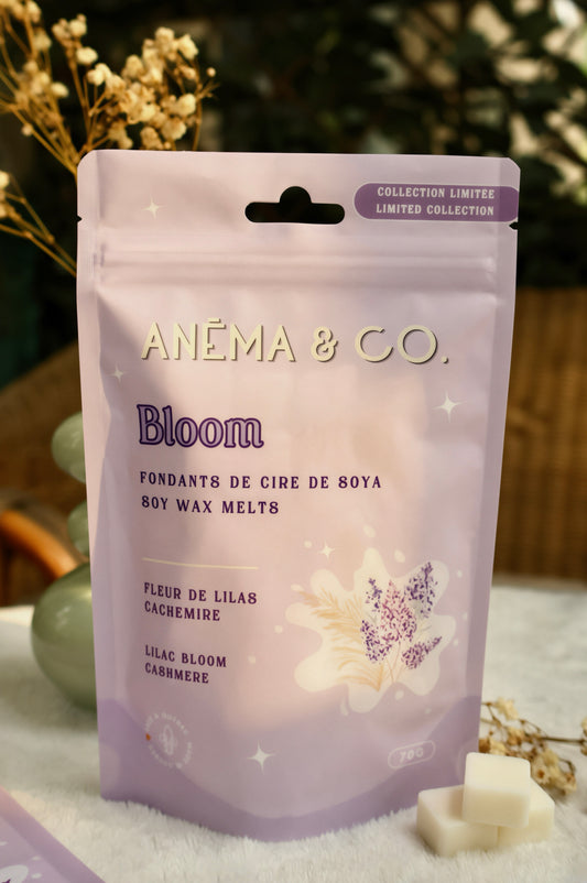 Cubes de cire - Bloom