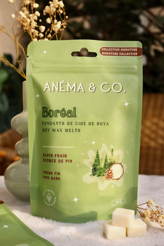 Cubes de cire - Boréal