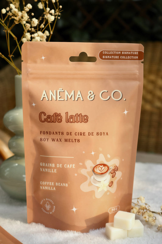 Cubes de cire - Café Latte