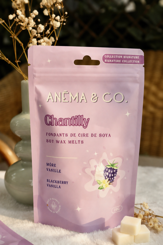Cubes de cire - Chantilly