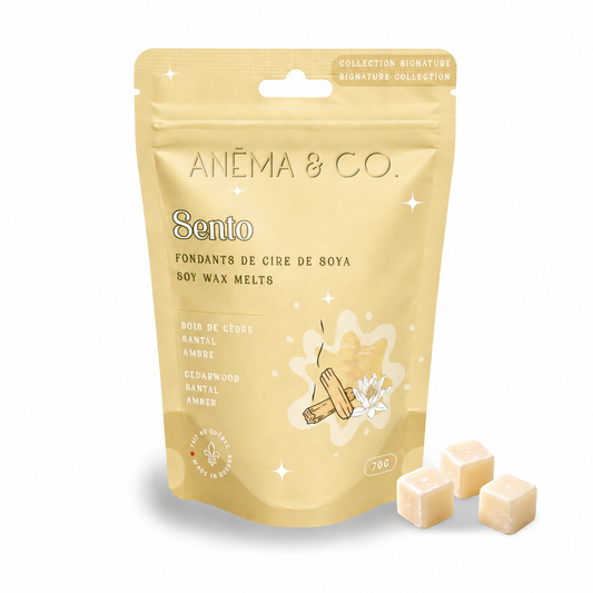 Cubes de cire - Sento