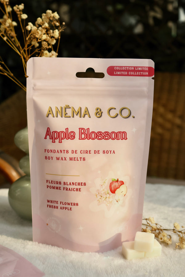 Cubes de cire - Apple Blossom