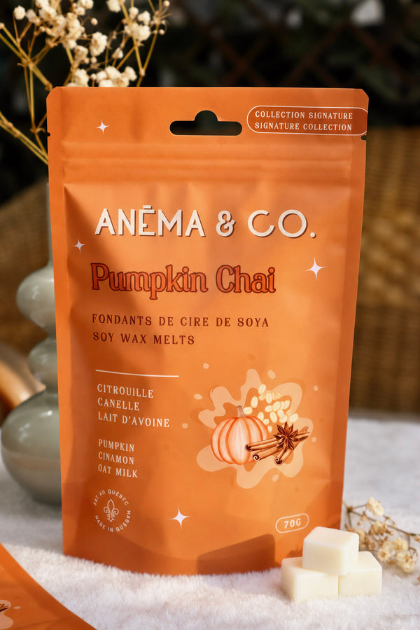 Cubes de cire - Pumpkin Chai